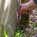 Goodnature® A24 automatische Ratten- & Muizenval set