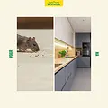 ECOstyle Mouse & Rat Stop Kit 300 ml
