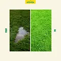 ECOstyle Kleigrond Verbeteraar 5 kg