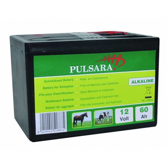 Pulsara Alkaline batterij 12V/60Ah