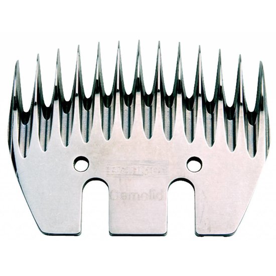 Heiniger Camelid voor Kamelen