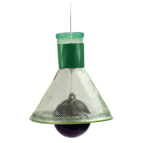 Gallagher MT-Trap Dazen en Wespenval (40x50cm)