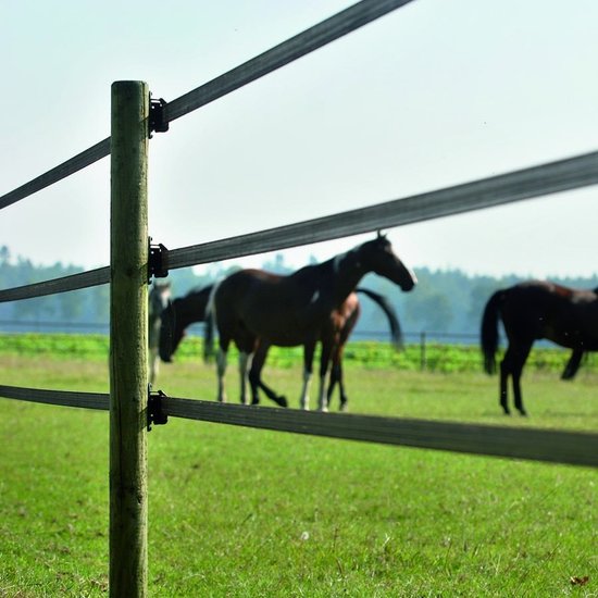 Gallagher PowerLine lint 40 mm terra 200 m