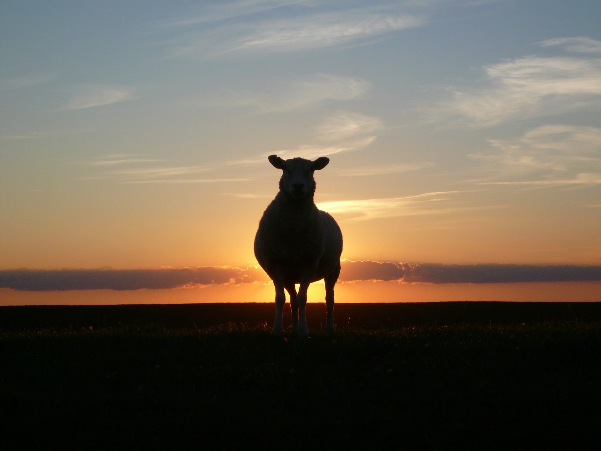 4 dingen die u moet weten over een EID lezer