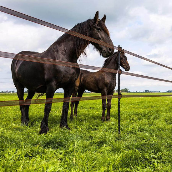 Gallagher Geïsoleerde Line Post 2,05 m 10 stuks