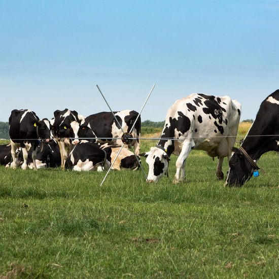 Gallagher Rasterspin (5 stuks)