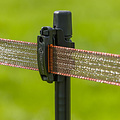 Gallagher TurboLine tape clip tussenisolator voor Gallagher Line Post (100)