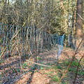Gallagher Wolvennet, Blauw 120/2W17/B-50m | 2ekans