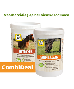 DetoxMix + DarmBalans Pakket S (combi-deal)