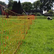 Schapennet
