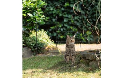 Afrastering voor katten