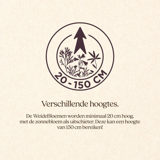 VITALstyle WeideBloemen 25 g