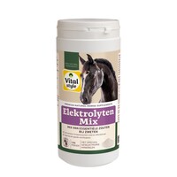 ElektrolytenMix 1 kg