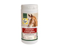 GastroComplex 1 kg
