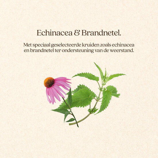 VITALstyle ImmunoBoost +