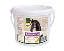 SpierKracht 4 kg