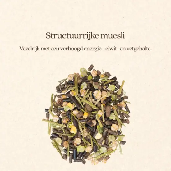 VITALstyle Muesli Active & Protein 15 kg