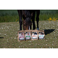 VITALstyle Healthies met Lijnzaad 1 kg