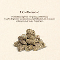 VITALstyle Healthies met Lijnzaad 1 kg