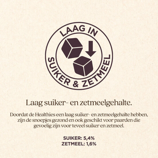 VITALstyle Healthies met Lijnzaad 1 kg