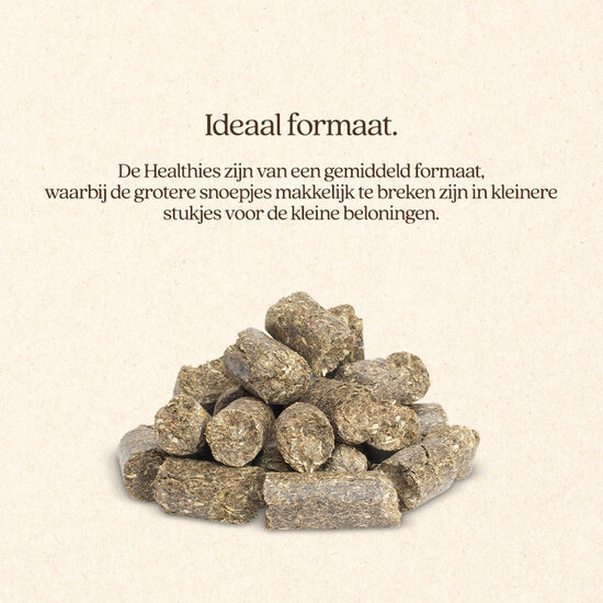 VITALstyle Healthies met Tijm 1 kg