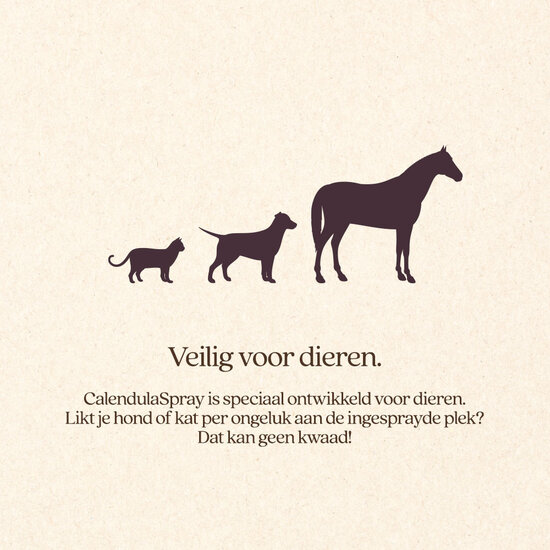 VITALstyle CalendulaSpray 100 ml