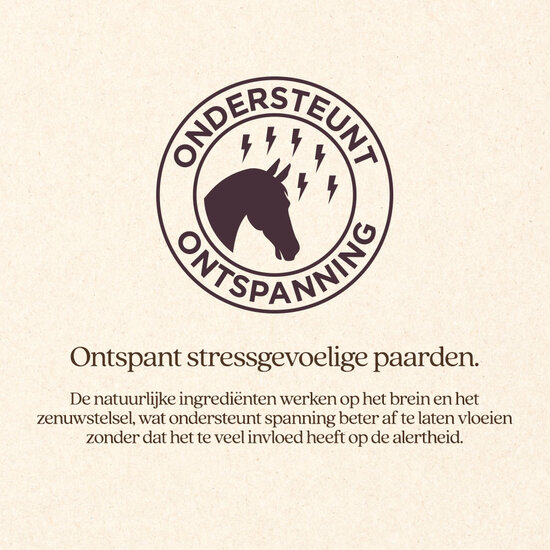 VITALstyle ChillPill 60 stuks