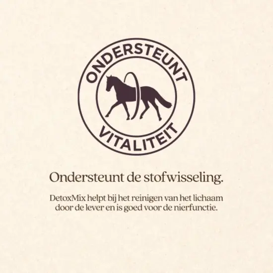 VITALstyle DetoxMix 1 kg