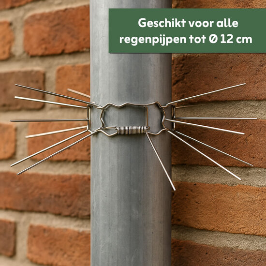 MartGuard® RVS Anti-marter regenpijp kraag (set van 2)