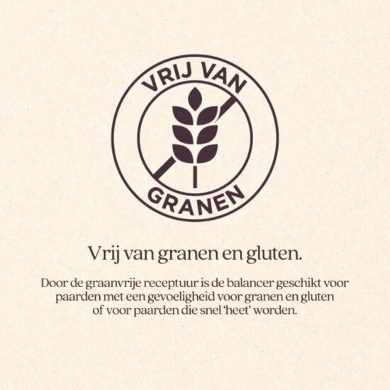 VITALstyle DailyFit Balancer 10 kg