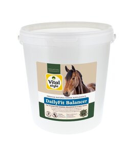 DailyFit Balancer 10 kg (emmer)
