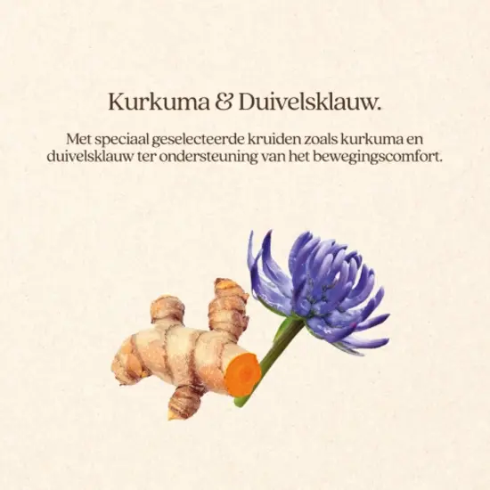 VITALstyle DolorComfort 2,5 liter