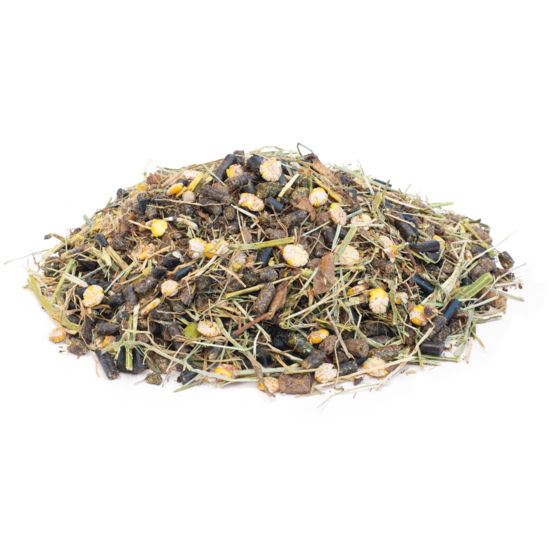 VITALstyle Muesli Gut & Gastro proefzakje