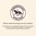 VITALstyle OerBalans brokken proefzakje