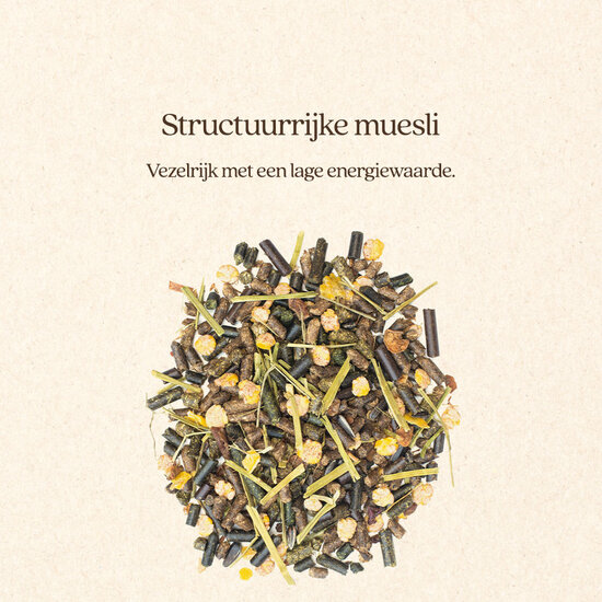 VITALstyle Muesli Light & Sober proefzakje