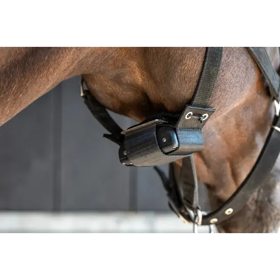 Birth Alarm Premium Plus App