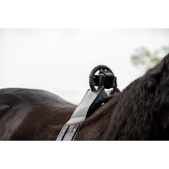 Birth Alarm Premium Plus App