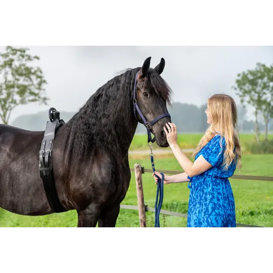 Birth Alarm Premium Plus App