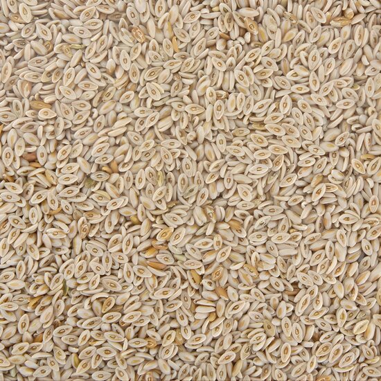 VITALstyle Clear & Relief 6 kg