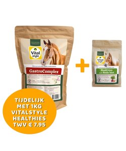 GastroComplex grootverpakking 2kg