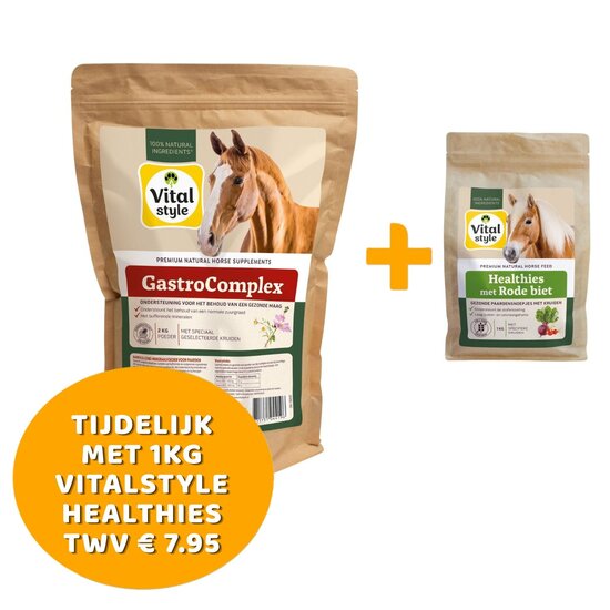 VITALstyle GastroComplex grootverpakking 2kg