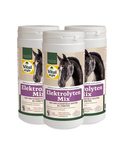 ElektrolytenMix 3 kg Multipack