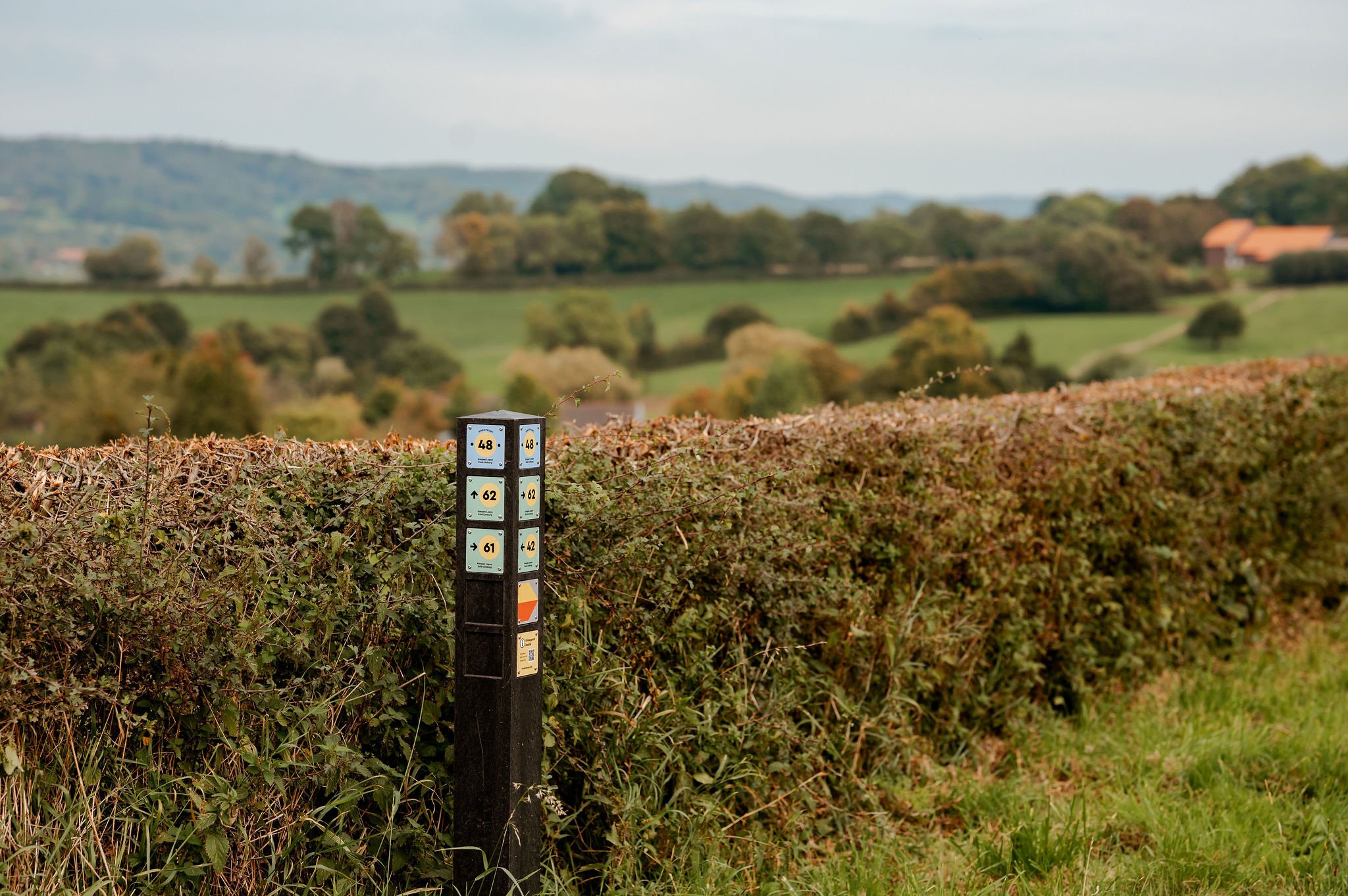 Wandelen / Knopen Lopen in Zuid-Limburg