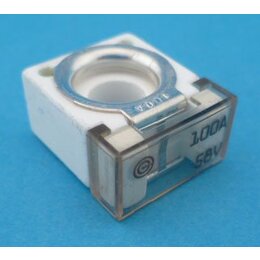 keramische blokzekering 100A