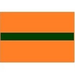 Draad 0.35 mm2 oranje/groen