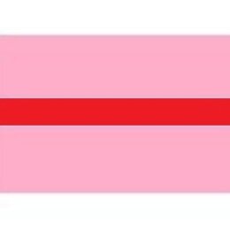 Draad 1.0 mm2 rose/rood