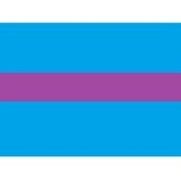 Draad 1.5 mm2 blauw/paars