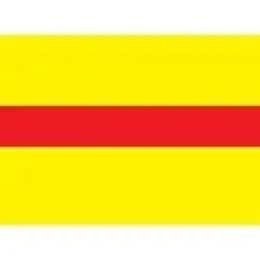 Draad 2.5 mm2 geel/rood