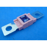 MEGA250A  rose met venster