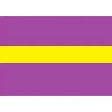 Draad 1.5 mm2 Paars/geel